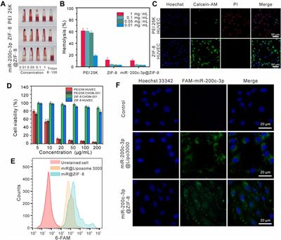 Microfluidic one-step synthesis of a metal−organic framework for osteoarthritis therapeutic microRNAs delivery